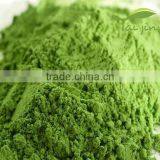 Premium Quality Wheat Grass Powder thumbnail-3