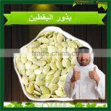 Grade A Shine Skin Pumpkin Seed Kernels Pumpkin Seed Kernels Shine Skin & GWS thumbnail-6