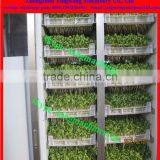 Food Machine to Produce Bean Sprouts thumbnail-2