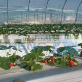 Simple Agricultural Tunnel Vegetable Greenhouse thumbnail-1