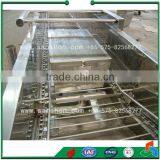 Food Cooking Machine Fruits and Vegetable Blancher Sterilizing Machine thumbnail-5