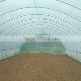 Ldpe Greenhouse Film Used in Planting Flower and Vegetable thumbnail-1