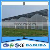BLD Large Multi-span Plastic Film Greenhouse Commercial Use thumbnail-2