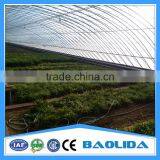 Commercial Greenhouse for Agriculture thumbnail-3