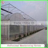 Arched Type Commercial Used Greenhouse for Potatoes for Hot Sale thumbnail-1