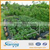 Farm Gardening Landscape Geotextile Fabric/Sheet/Roll thumbnail-1