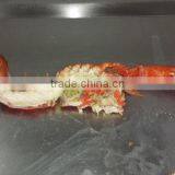 Frozen Cooked /raw Lobster thumbnail-4