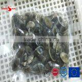 2015 New Cooked V-packed Baby Clam thumbnail-4