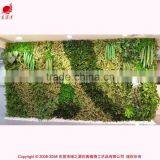 Free Design Plant Wall Artificial Vertical Garden Wall Plant Indoor Plant thumbnail-4