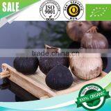 Supply l Black Garlic 100% Natural thumbnail-4