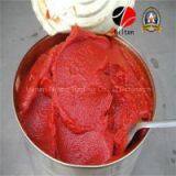 Zhengzhou Nilton Delicious Magical Tomato Paste Ketchup
