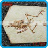 Science Museum High Simulation Pterosaur Fossil