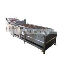 Automatic Vegetable Fruit Washing Line Fruit Vegetable Processing Machine Automatic Fruit Washing Air Dryer Processing Line thumbnail-2