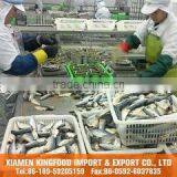 Xiamen Kingfood Import & Export Co., Ltd. company overview - view 1 thumbnail
