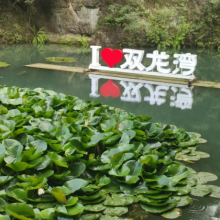 微信图片_2025-07-03_165729_591