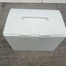 Customized Cold Chain PP Corrugated Box for Seafood Industry thumbnail-2