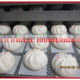 TY-810 Chinese Bun Machine thumbnail-4
