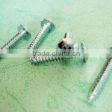 Truss Head Self Tapping Screw in Best Selling thumbnail-2