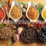 Automatic Stevia Starch Pepper Beans Powder Packing Machine