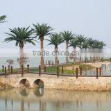 Imitation Big Date Palm Trees