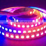 Popular Sale Digital Addressable DC5v Rgb Professional Ws2812b Led Strip Lighting Ip68 Waterproof 10mm