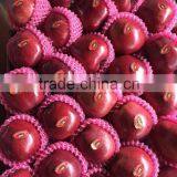 Huaniu Apples thumbnail-3