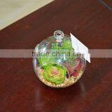 Wholesale Glass Globe Hanging Succulent Plants Terrarium Geometric thumbnail-2