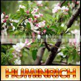 (Potassium Humate with Fulvic ) Pest Control Method of Fruit Trees