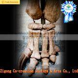 Dino Park Outdoor Museum Adventure thumbnail-1