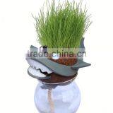 Specialized Party on Supplies Elmo Birthday Decoration