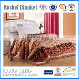 Hot Sale High Quality 100% Polyester Thick Blanket