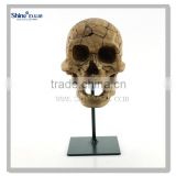 resin sculpture skull head decorative skull head human head mold