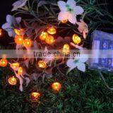 LED Festival Lights thumbnail-6