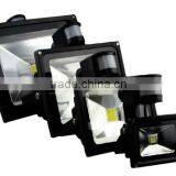 Promotion PIR Motion Sensor LED Flood Light Advertising Lamp 10W 20W 30W 50W LED Floodlight Detective Sensor Lamp
