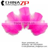 CHINAZP Crafts Factory Wholesale Bulk Dyed Hot Pink Turkey Fluff Flat T-Base Body Plumage Feathers
