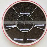 Black Tea thumbnail-1