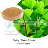 Ginkgo Biloba Extract 24%/6%