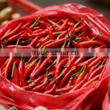 we export red chilli to world market