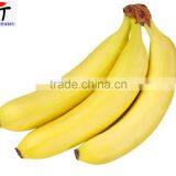 Direct Factory Price the Good Quality Ethylene Ripener for Banana(2) thumbnail-5