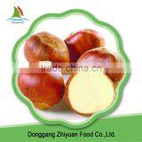 China Wholesale Sale All New Season IQF Frozen Chestnut thumbnail-3