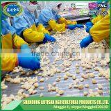 High Quality Japanese Grade Diced Garlic Cube Export to Word Market thumbnail-3