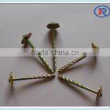 Hot Dip Galvanized Umbrella Head Roofing Nails With Smooth Shank or Twisted Shank thumbnail-4