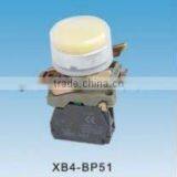 Double-headed Flush Pushbutton Switch