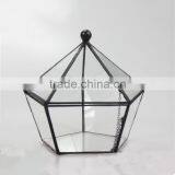 Five Face Opening Closed Five Angular Geometry Glass Greenhouse Flowers Garden Decor Pots thumbnail-1