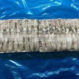 2015 Baby Squid thumbnail-2