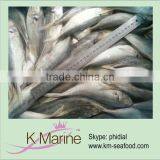 Whole Round Frozen Horse Mackerel Manufacturer thumbnail-1
