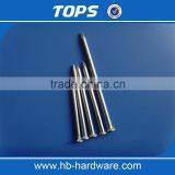 China Tops Common Nail Wire Iron Nail Factory thumbnail-2