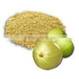 Phyllanthus Amarus Extract thumbnail-1