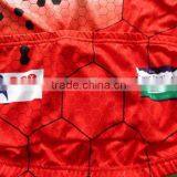 2017 China Hot Sale Cycling Crazy Cycling Team Jersey thumbnail-6