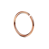 Amazon Explosion Stainless Steel Flat Nose Ring Earrings 316 Body Piercing Earrings Titanium Steel Nose Pin Manufacturers thumbnail-3